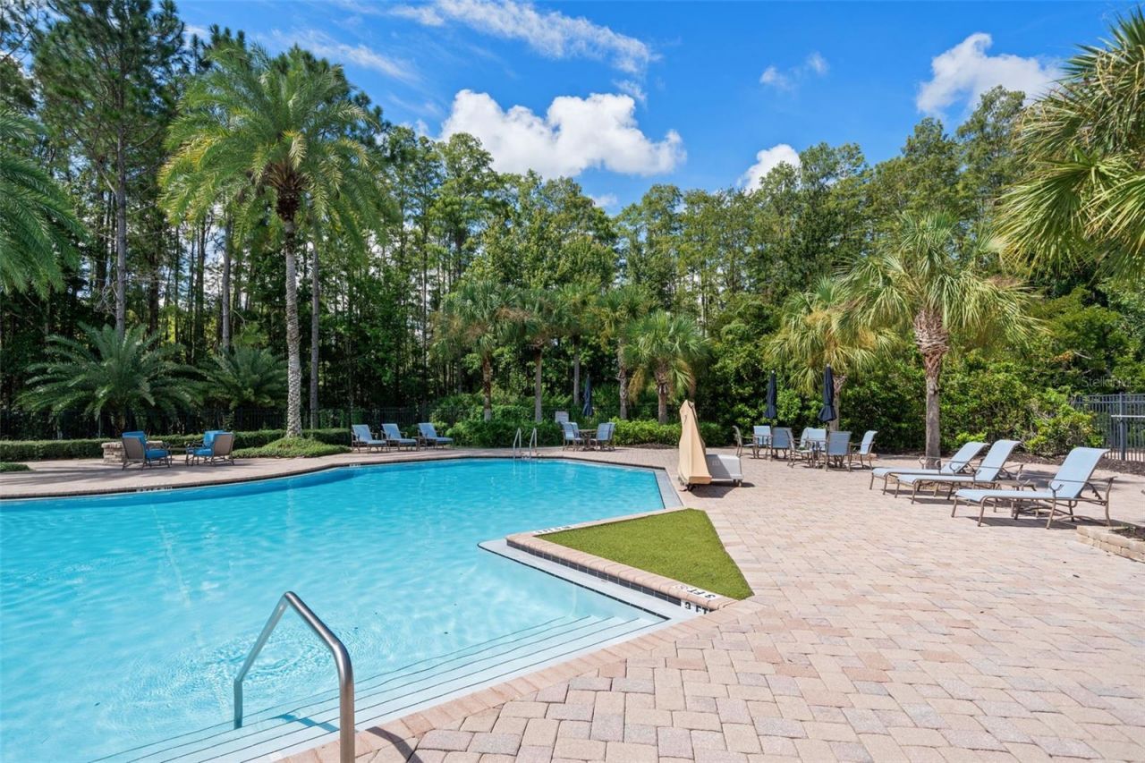 19620 Lonesome Pine Drive , Land O Lakes, FL 34638 Photo