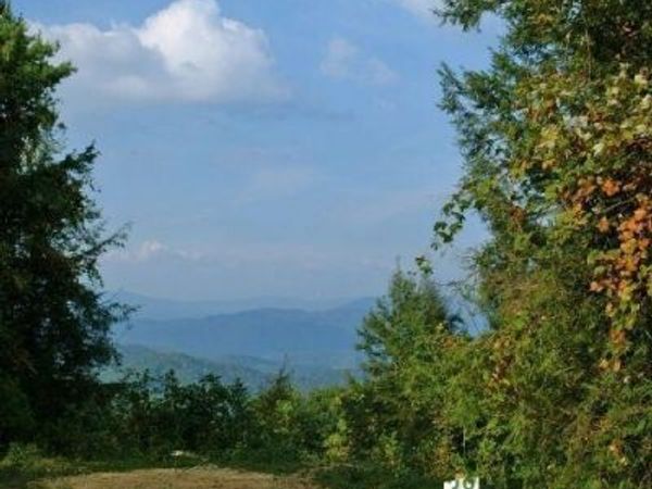 1008 Locust Lane, Butler, TN 37640