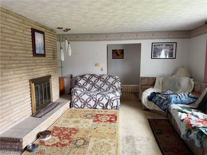 54599 Colerain Pike, Martins Ferry, OH 43935 Photo 38