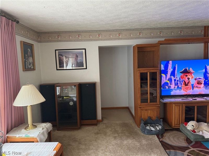 54599 Colerain Pike, Martins Ferry, OH 43935 Photo 39