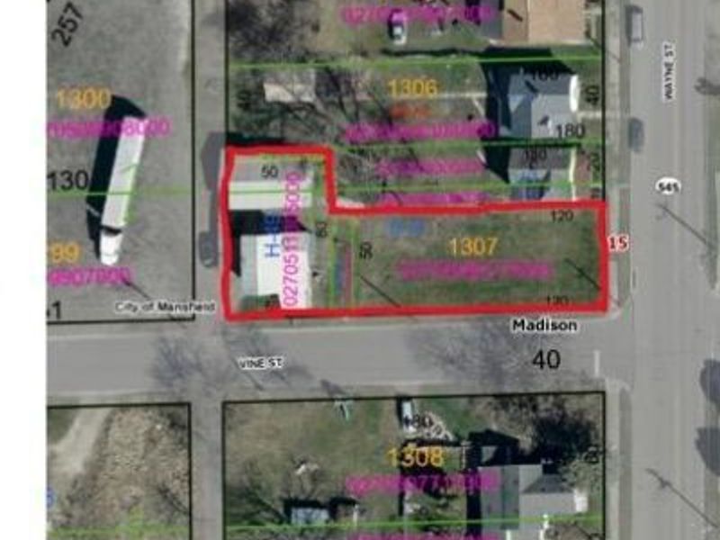 213 Vine Street, Mansfield, OH 44902 Photo 28