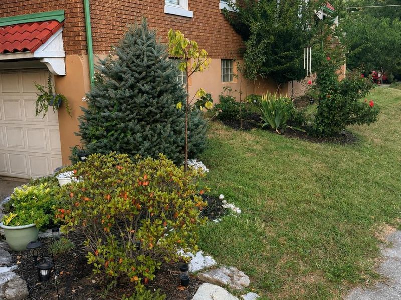 1001 Rutledge Avenue, Cincinnati, OH 45205 Photo 32