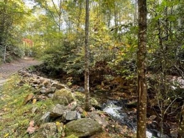 724 Blackgum Court , Hendersonville, NC 28739