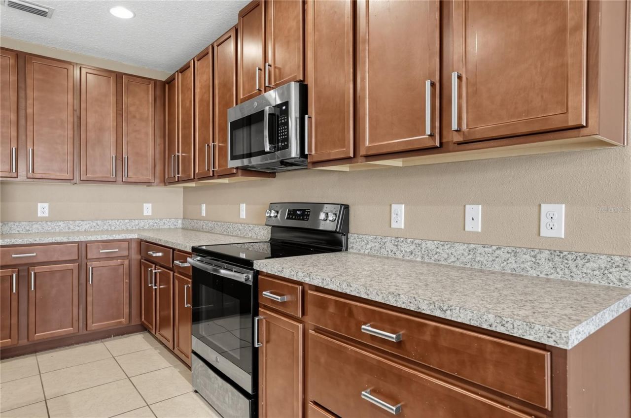 171 Hydra Way , Groveland, FL 34736 Photo