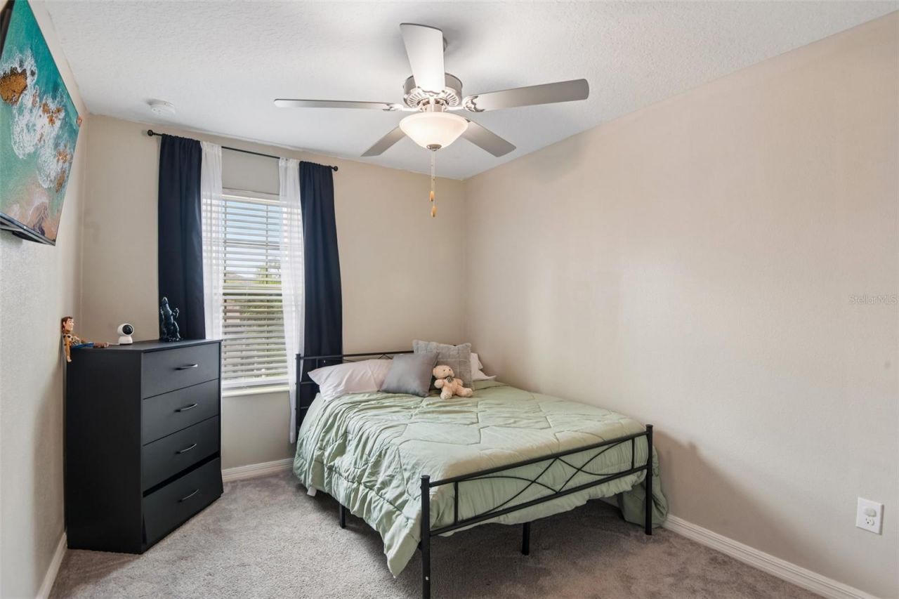 11705 Castine Street , New Port Richey, FL 34654 Photo