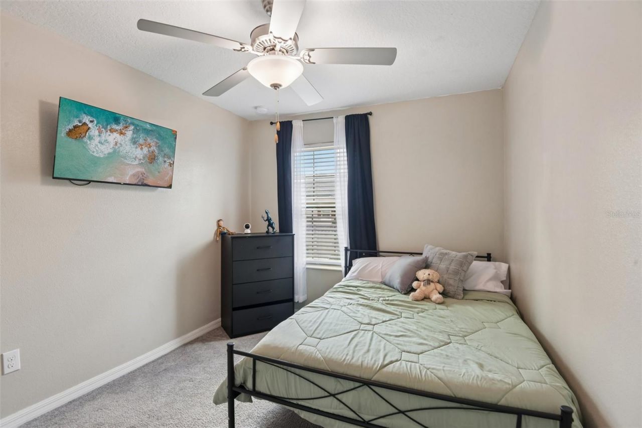 11705 Castine Street , New Port Richey, FL 34654 Photo