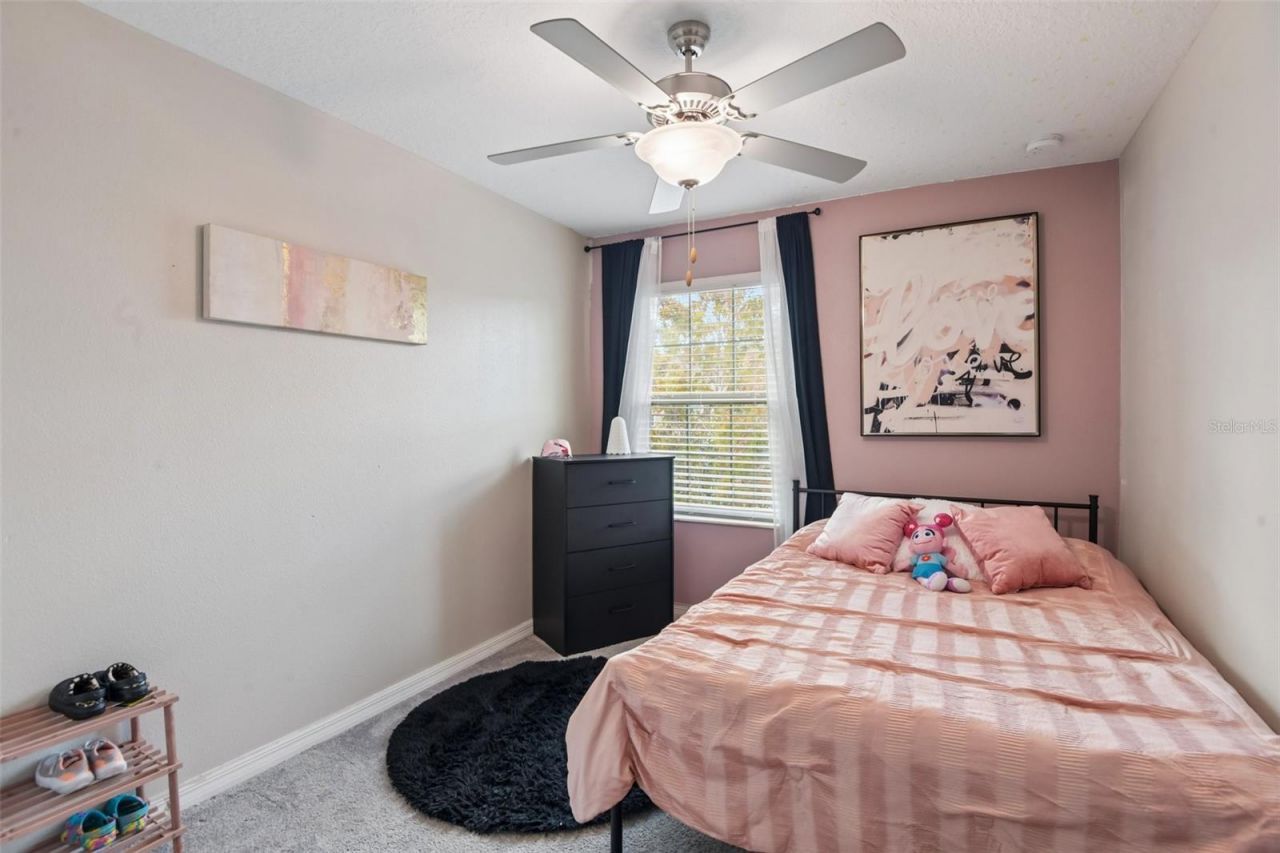 11705 Castine Street , New Port Richey, FL 34654 Photo