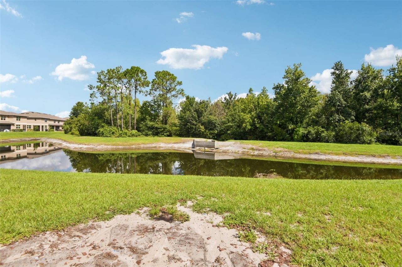 11705 Castine Street , New Port Richey, FL 34654 Photo