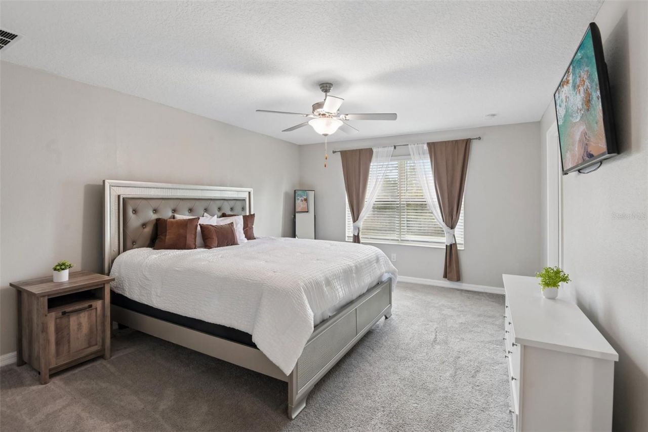 11705 Castine Street , New Port Richey, FL 34654 Photo