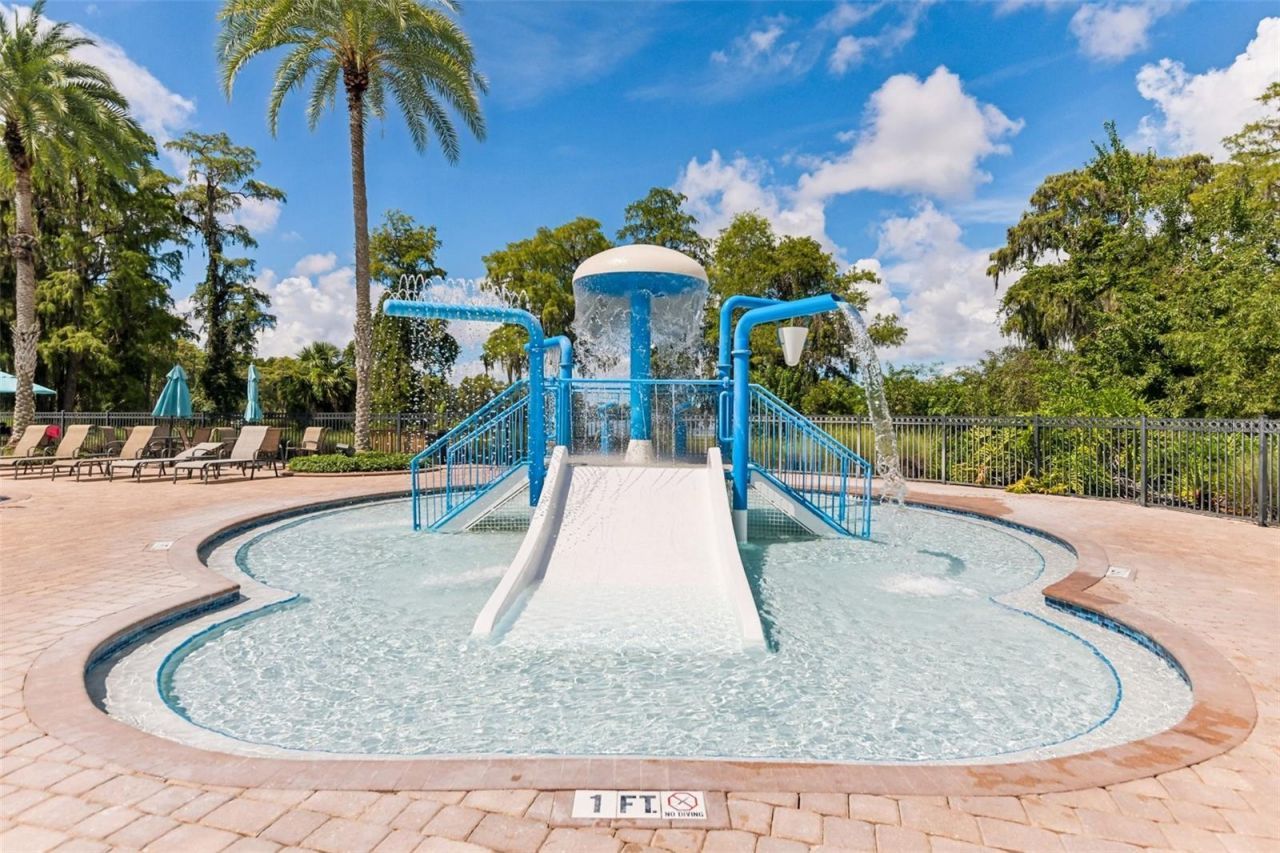 11705 Castine Street , New Port Richey, FL 34654 Photo