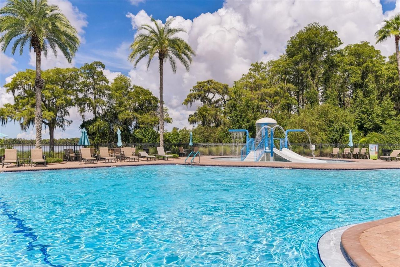 11705 Castine Street , New Port Richey, FL 34654 Photo