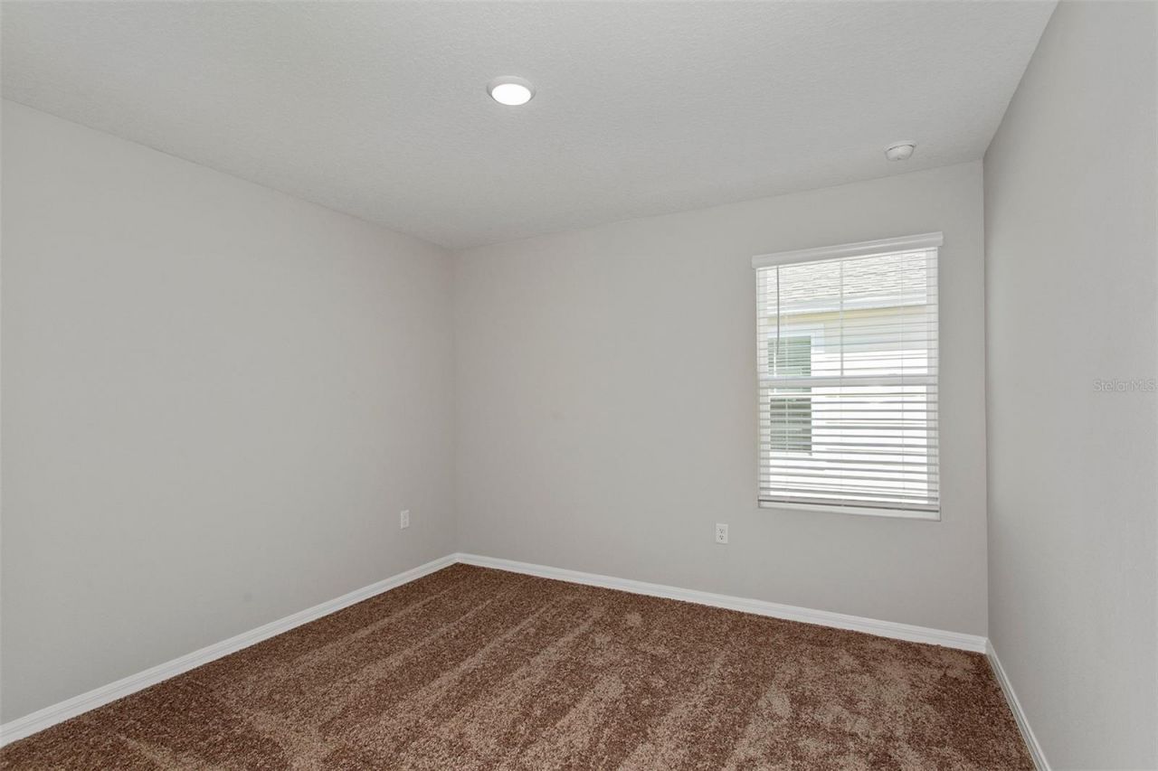 36675 Thornhedge Drive , Zephyrhills, FL 33541 Photo