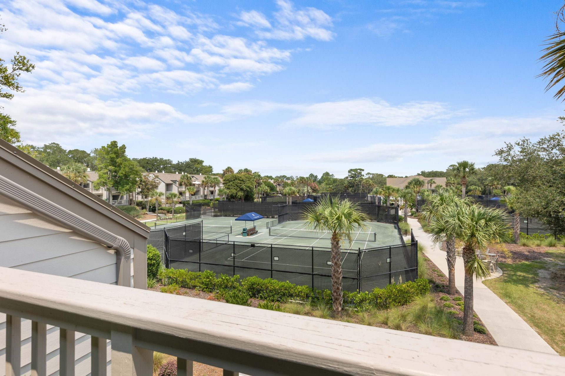 1604 Live Oak Park Photo 10