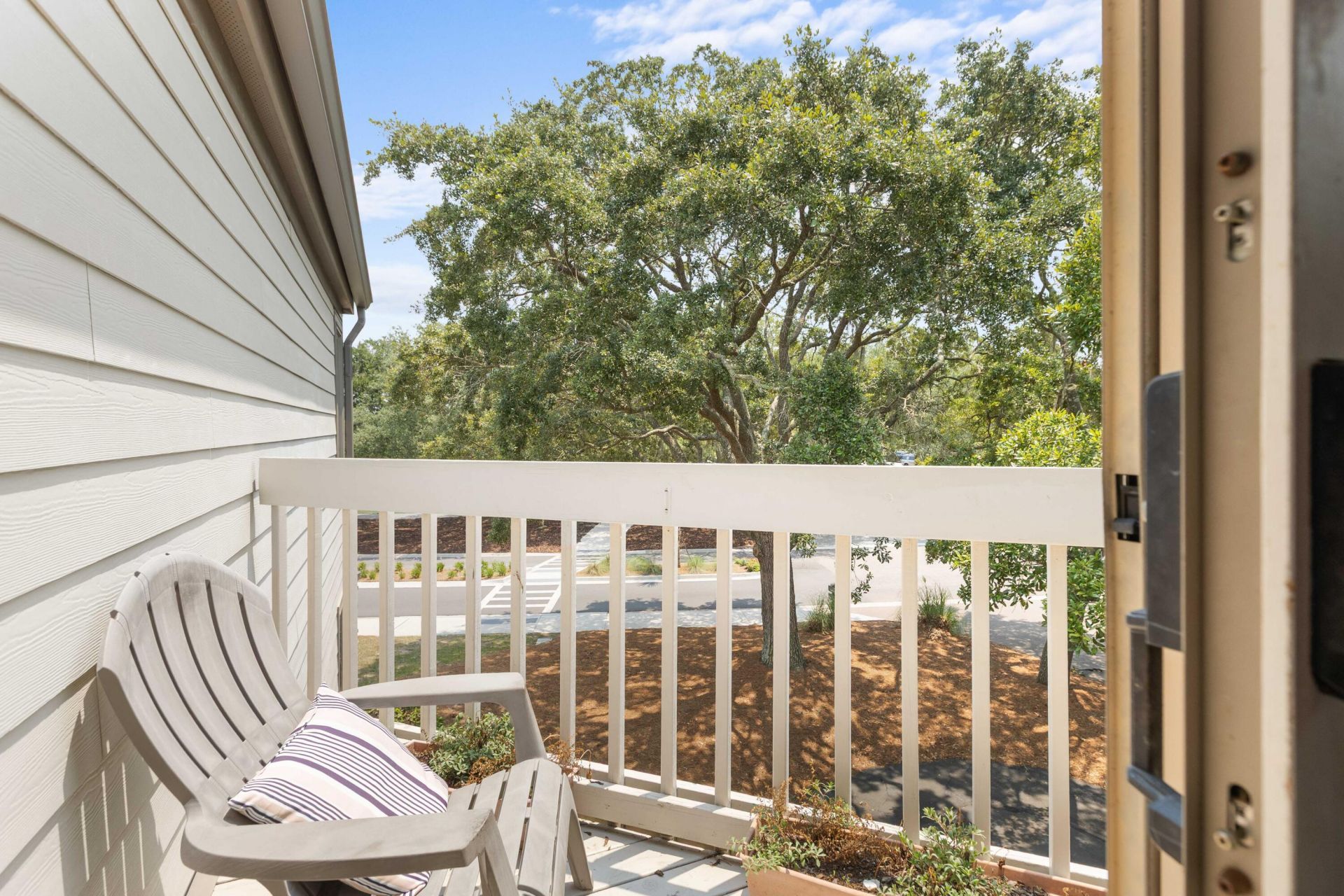 1604 Live Oak Park Photo 22