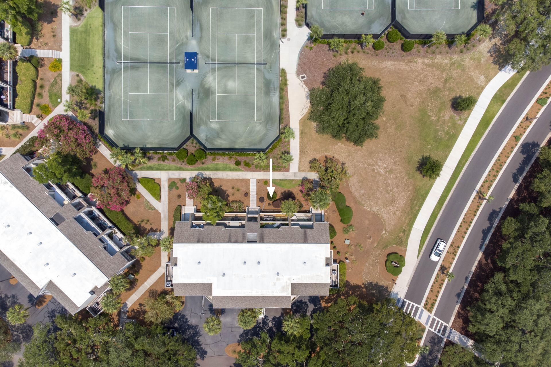 1604 Live Oak Park Photo 31