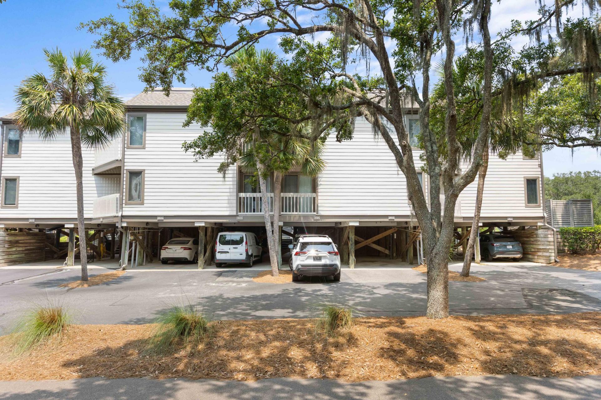 1604 Live Oak Park Photo 4