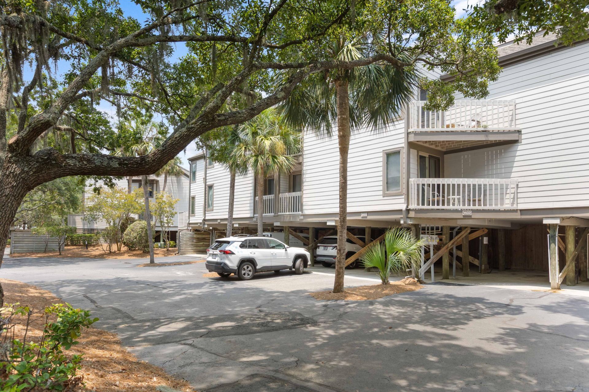 1604 Live Oak Park Photo 5