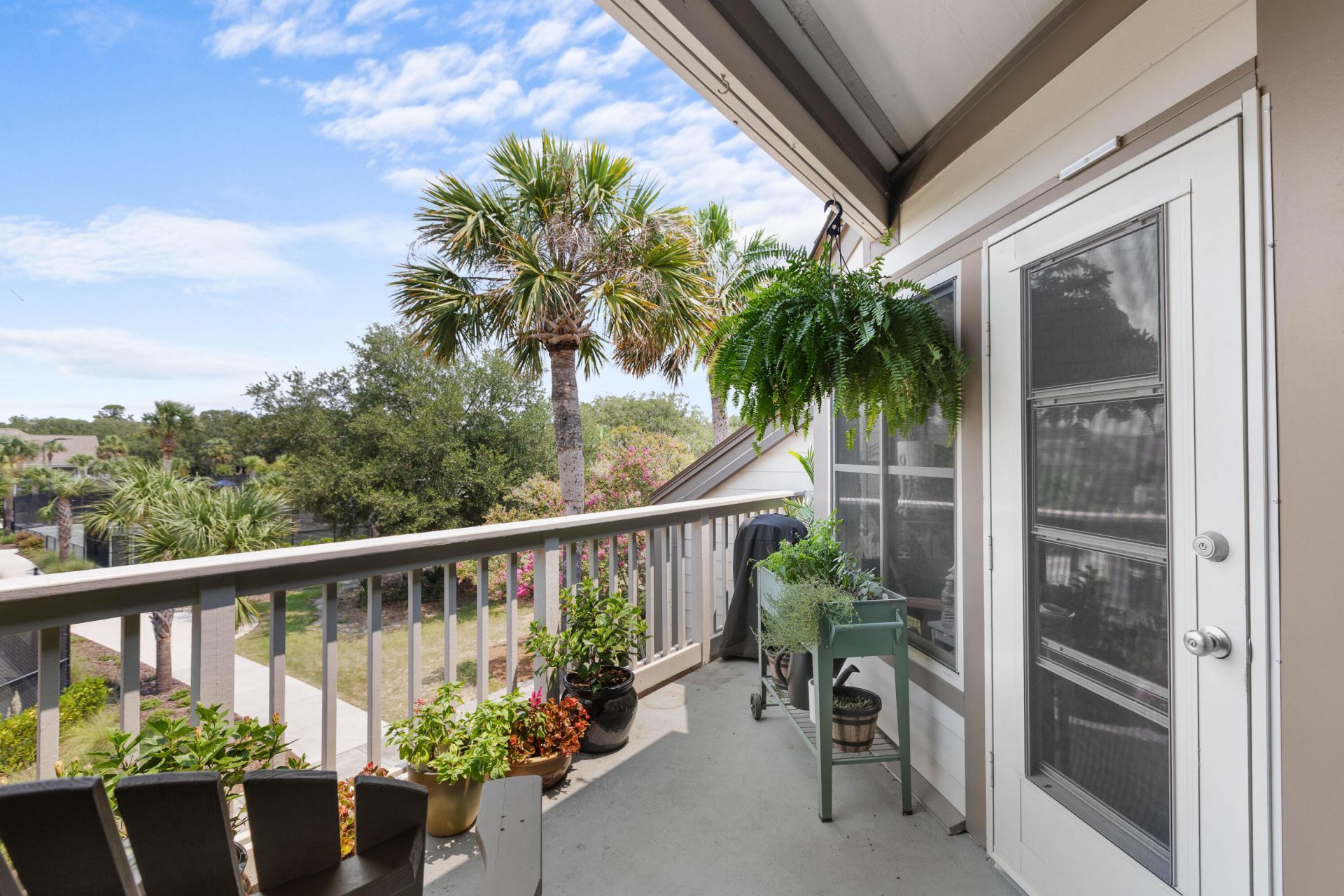 1604 Live Oak Park Photo 9