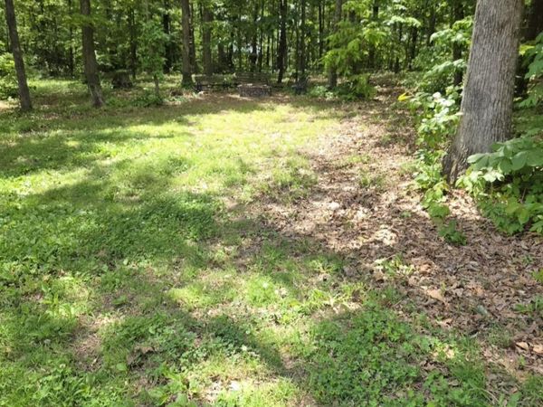 2452 Curtis Hill Church Road , Bethel Springs, TN 38315