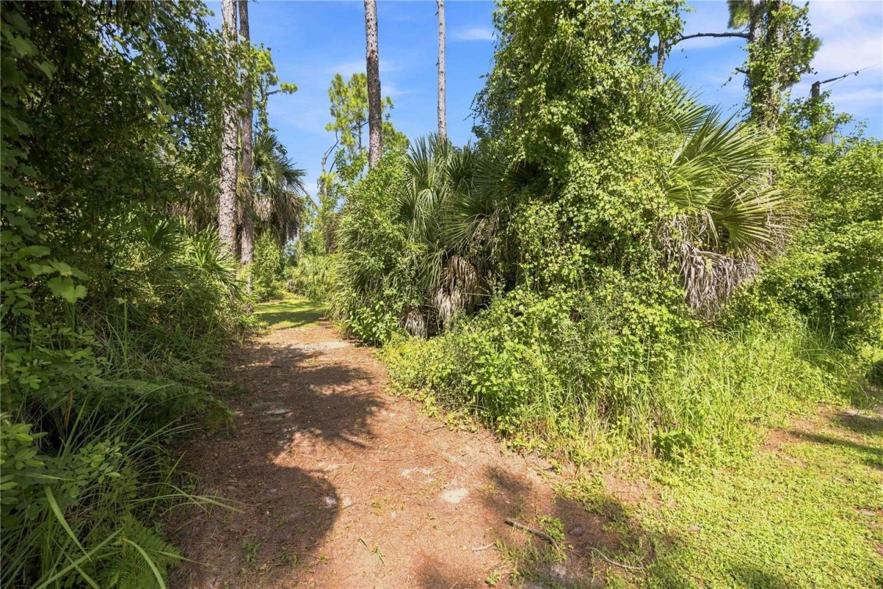 1711 Naftal Road, North Port, FL 34288 Photo