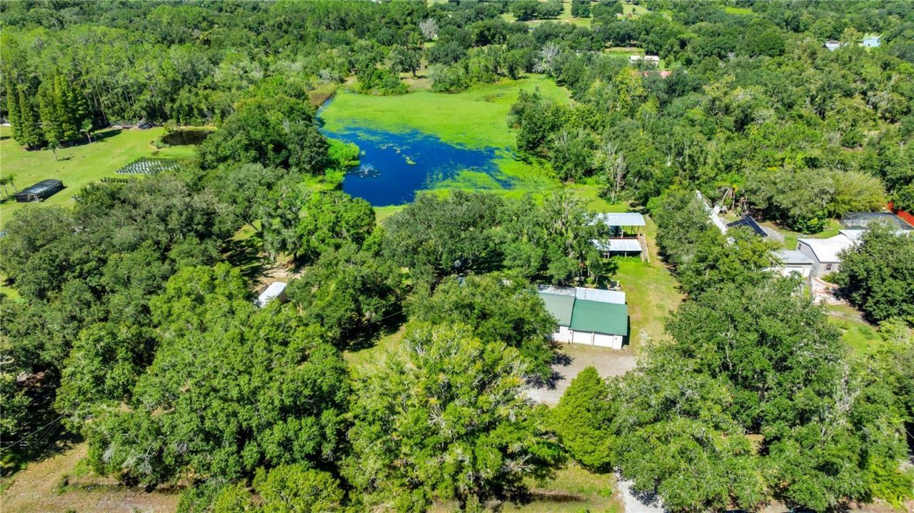 5753 N Dormany Road , Plant City, FL 33565 Photo