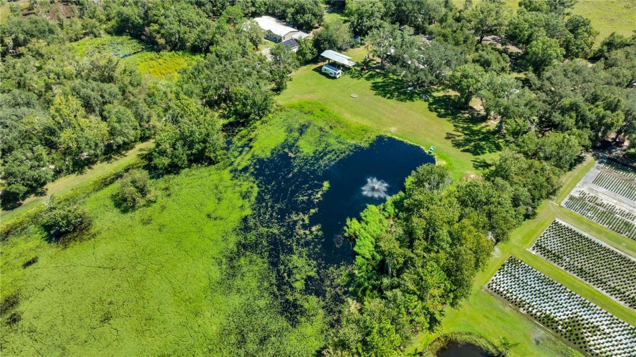 5753 N Dormany Road , Plant City, FL 33565 Photo