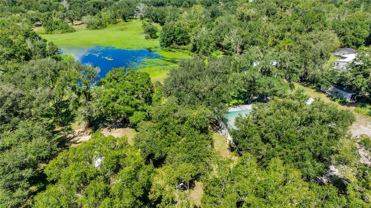 5753 N Dormany Road , Plant City, FL 33565 Photo