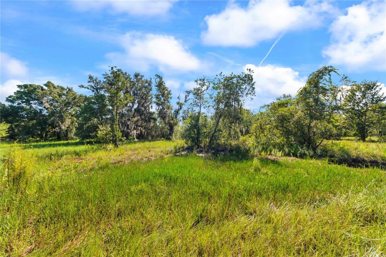 5753 N Dormany Road , Plant City, FL 33565 Photo