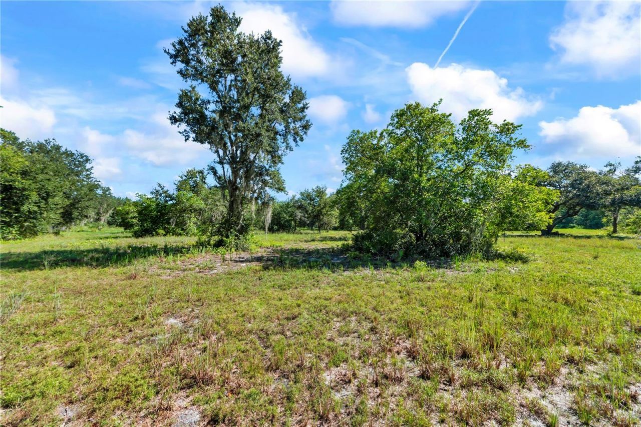 5753 N Dormany Road , Plant City, FL 33565 Photo