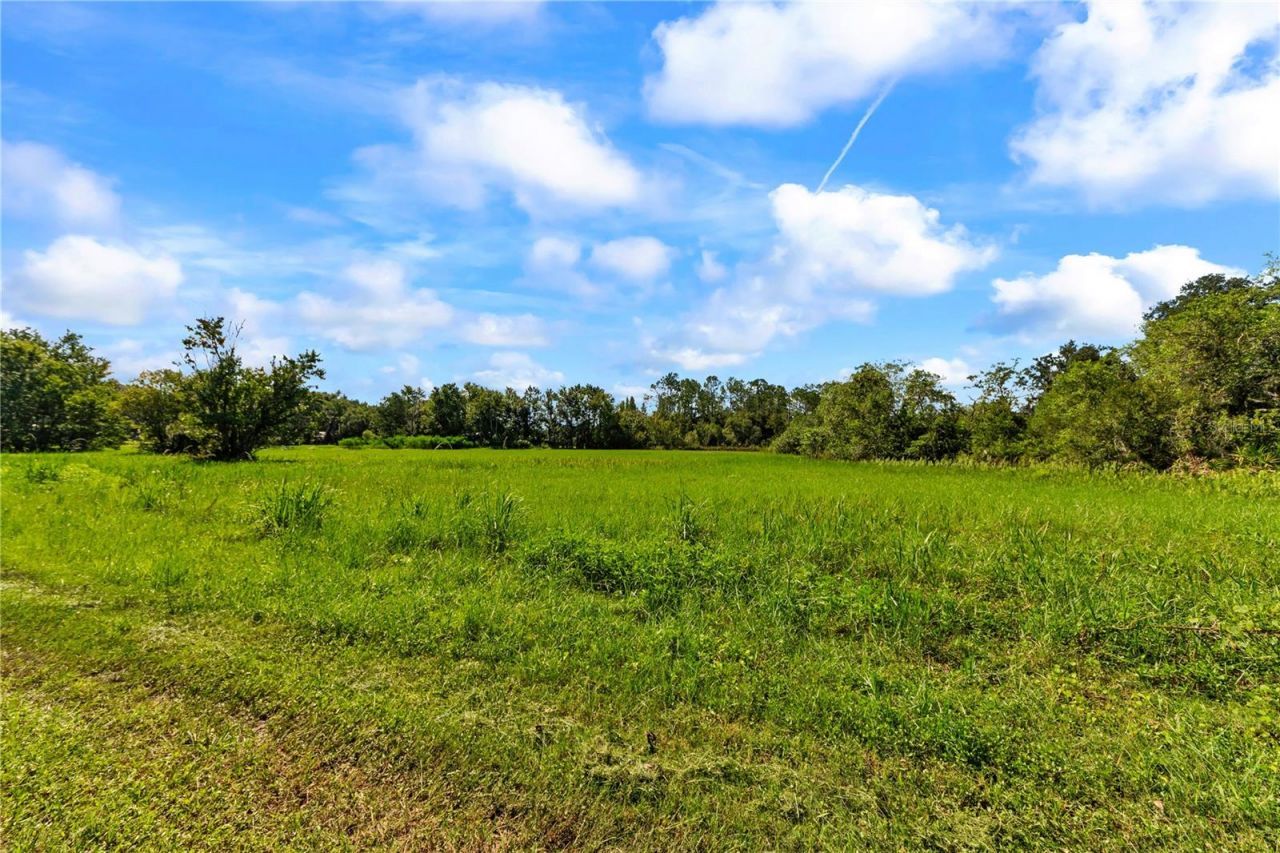 5753 N Dormany Road , Plant City, FL 33565 Photo