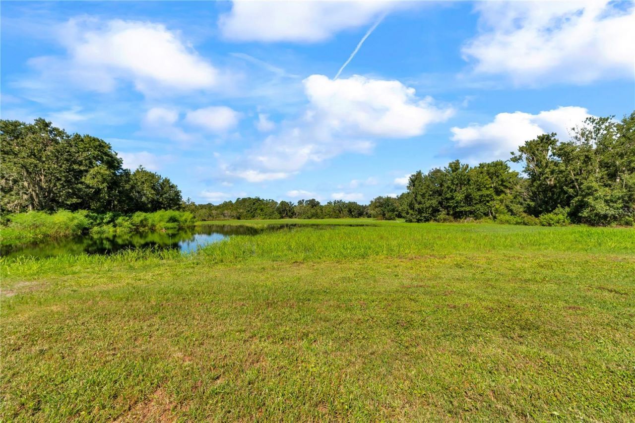 5753 N Dormany Road , Plant City, FL 33565 Photo