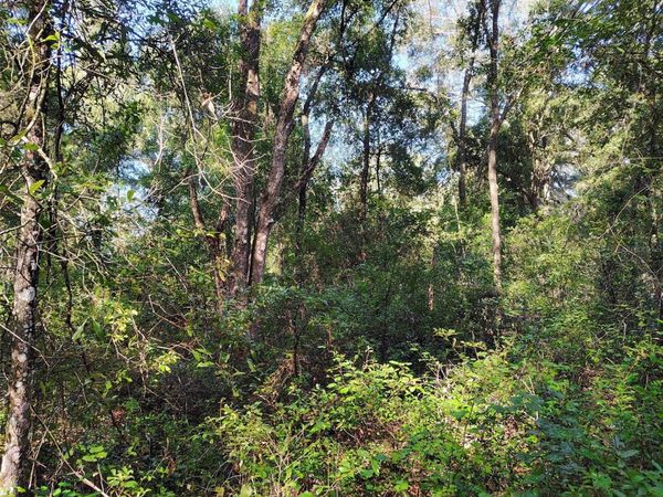 SW 158TH LANE , DUNNELLON, FL 34432