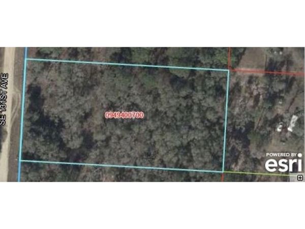 131 , MORRISTON, FL 32668
