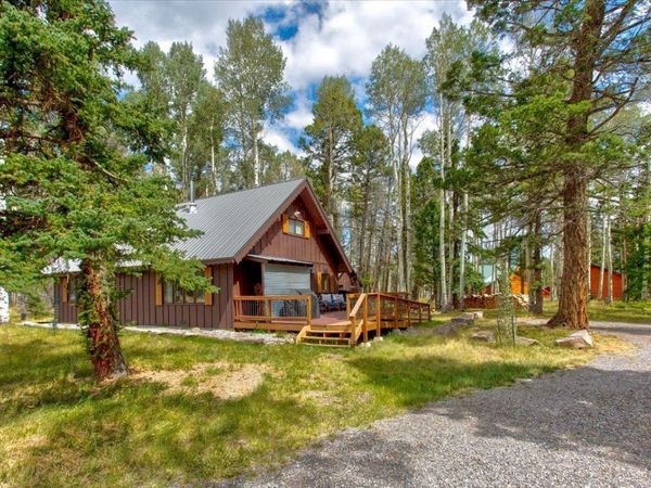 103 Aspen Drive, Cimarron, CO 81220