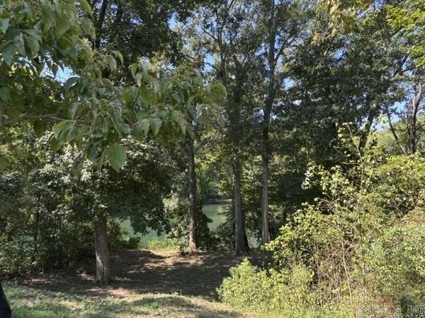 240 River Mist Drive, Pangburn, AR 72121