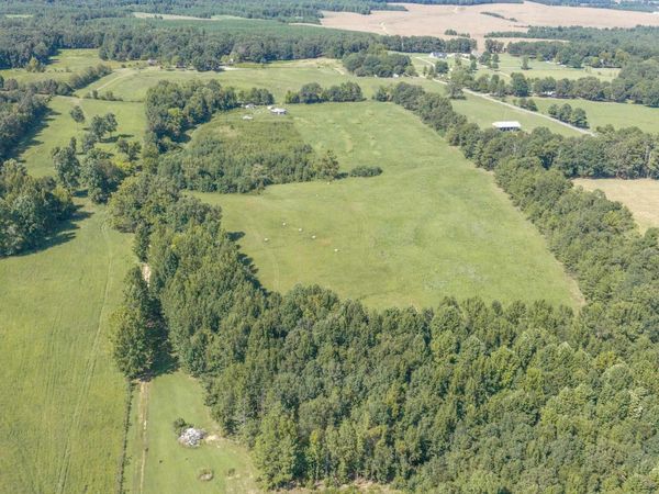 0 Co Rd 116, Waterloo, AL 35677