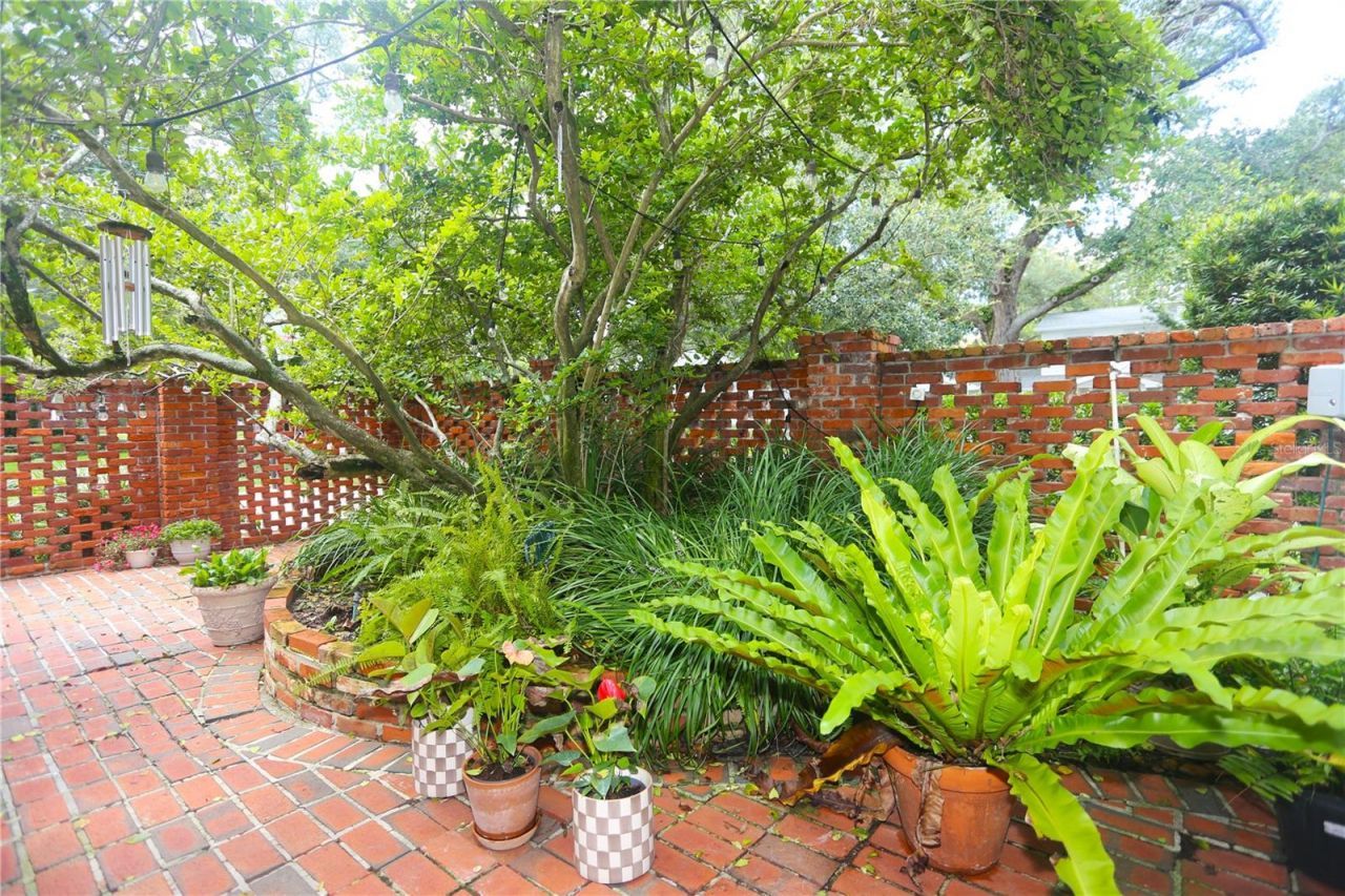 4414 W Watrous Avenue, Tampa, FL 33629 Photo