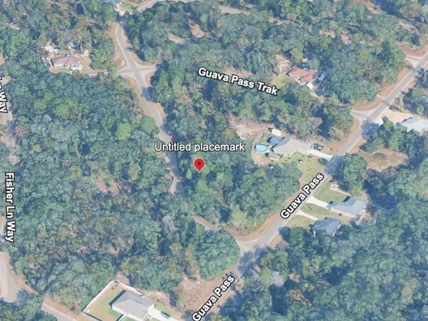 0 Fisher Lane Track , Ocklawaha, FL 32179