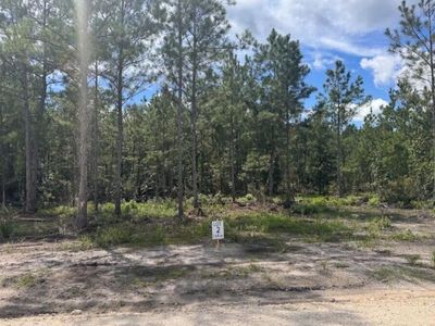 0 Walker Road, Unit Lot 2, Ridgeville, SC 29472