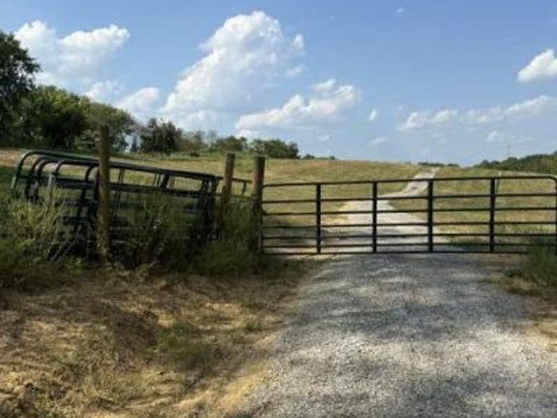 11525-C Napoleon Zion Station Road, Dry Ridge, KY 41035 Photo 10