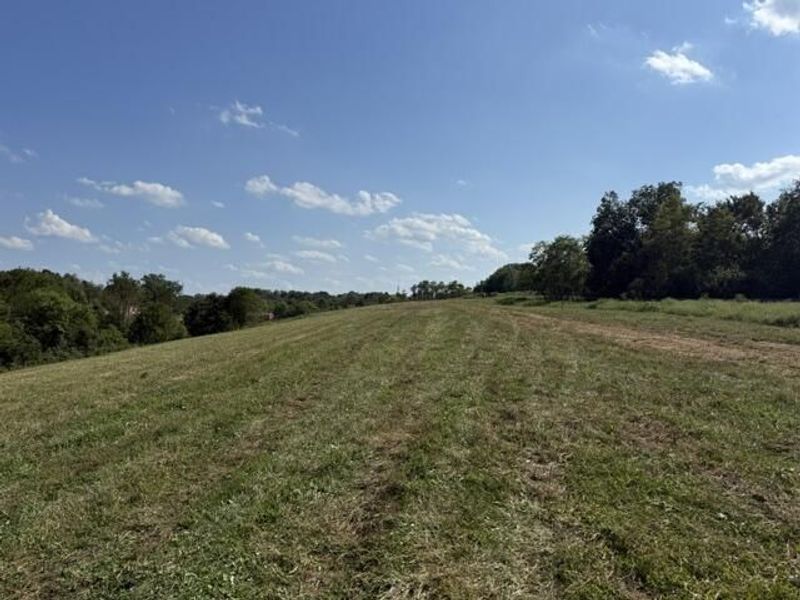 11525-C Napoleon Zion Station Road, Dry Ridge, KY 41035 Photo 5
