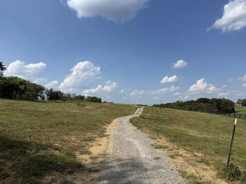 11525-C Napoleon Zion Station Road, Dry Ridge, KY 41035 Photo 8