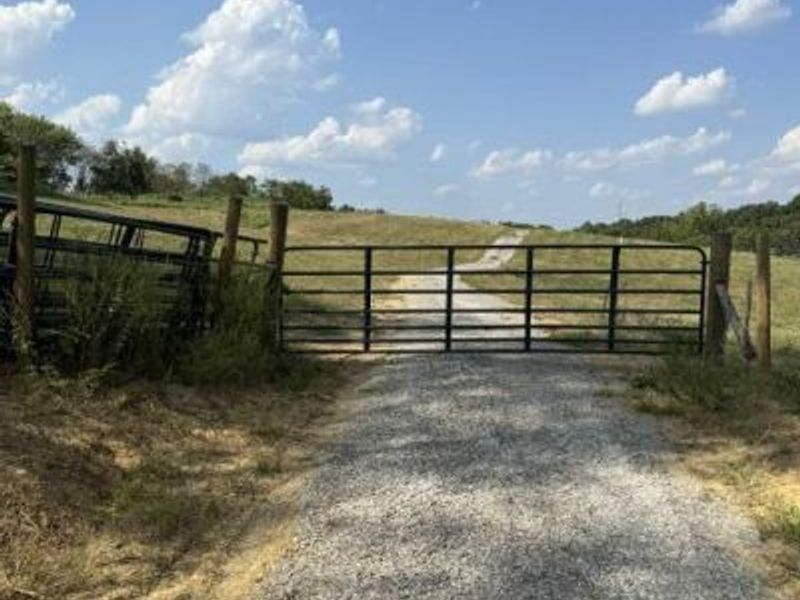 11525-C Napoleon Zion Station Road, Dry Ridge, KY 41035 Photo 9