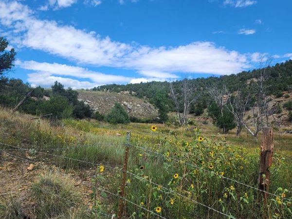Hwy 12, Trinidad, CO 81082