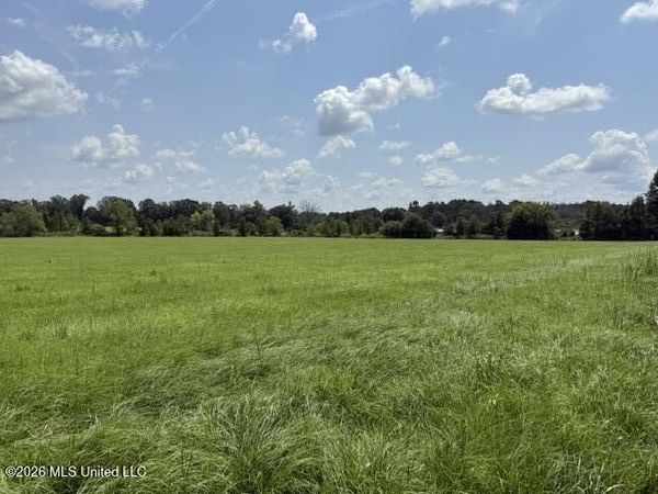 0 Brewer Drive , Forest, MS 39074