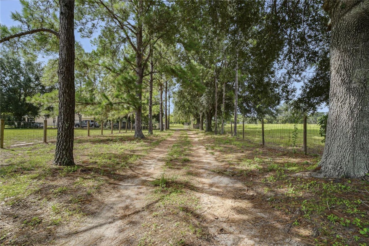 22808 State Road 19 , Howey in the Hills, FL 34737 Photo