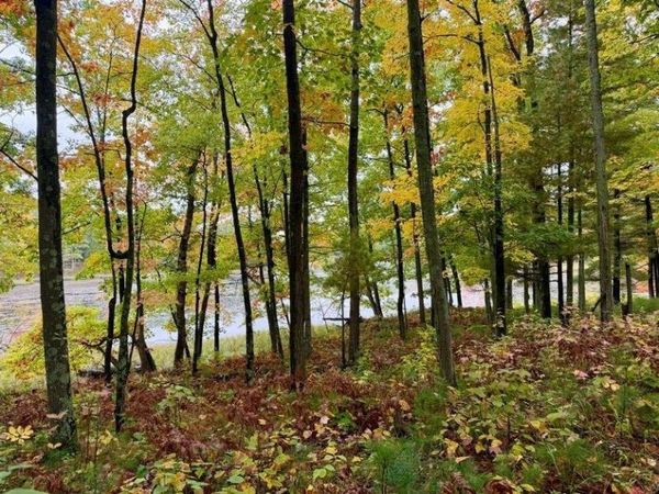 00 10 1/2-28 1/2, Barronett, WI 54813