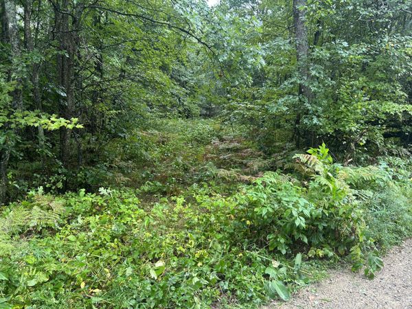 Lot 83 Homecrest Drive, Houghton Lake, MI 48629