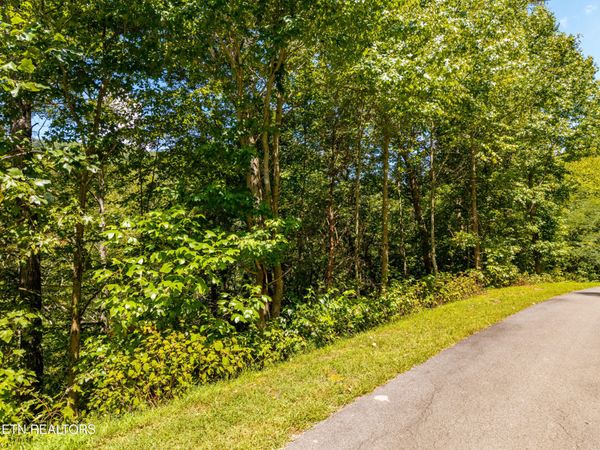 445 Chetola Tr, Townsend, TN 37882