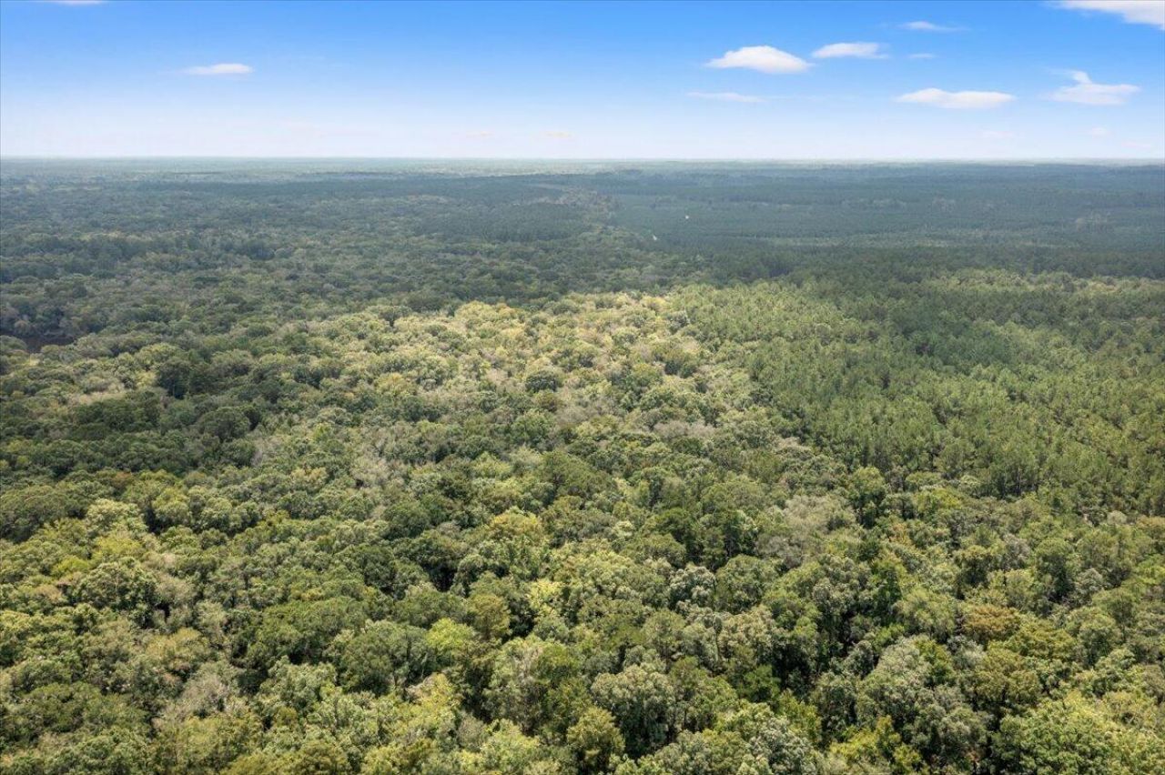 0 Camp Buddy Road Photo 49